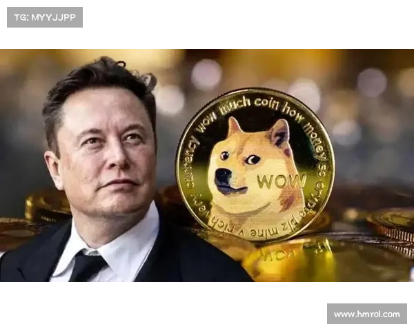 马斯克的狗狗币(DOGE)努力可能传播恶意软件，暴露美国系统于威胁行为者 在线