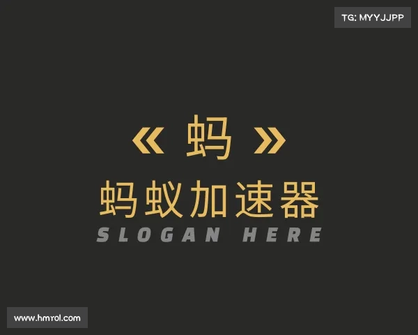 认识蚂蚁加速器